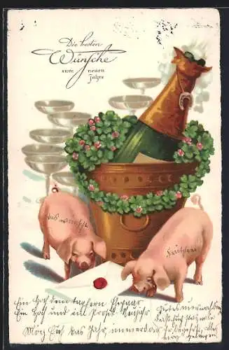 AK Schweine finden Brief unter Sektflasche