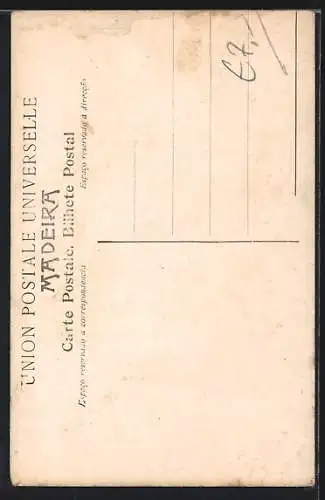 AK Madeira, Bauer mit Korb über der Schulter