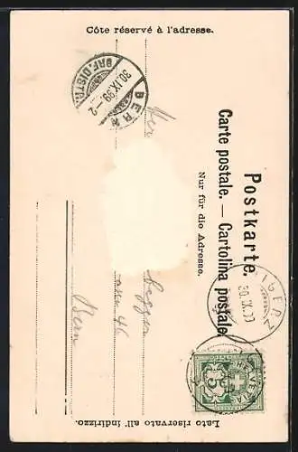 AK Ile de Saint Pierre, Hotellerie