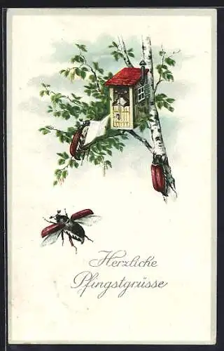AK Maikäfer richtet Herzliche Pfingstgrüsse aus