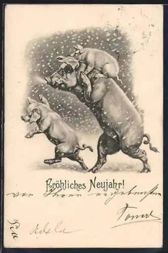 AK Schwein trägt Ferkel im Winter auf den Schultern