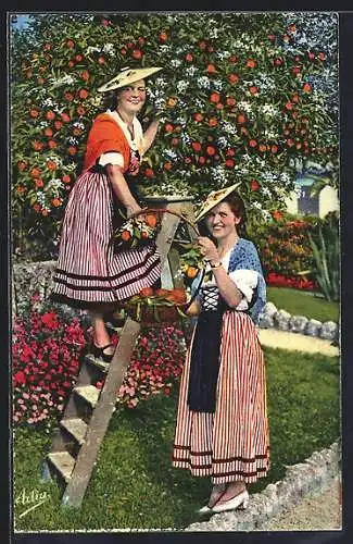 AK Nizza, Junge Französinnen aus der Stadt bei der Orangenernte
