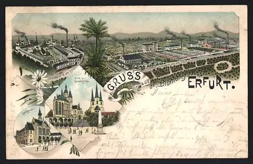 Lithographie Erfurt, Fabrik Schmidt, Dom und Severikirche, Rathaus