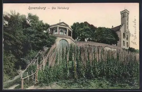 AK Ravensburg, Die Veitsburg