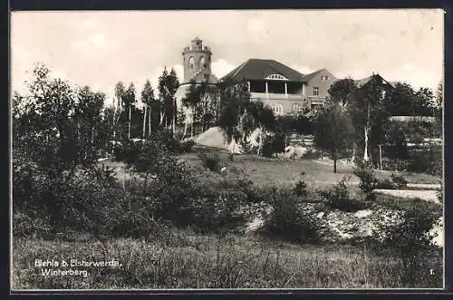 AK Biehla / Elsterwerda, Partie am Winterberg
