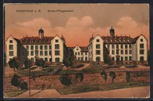 Künstler-AK Sinsheim a. E., Kreis-Pflegeanstalt