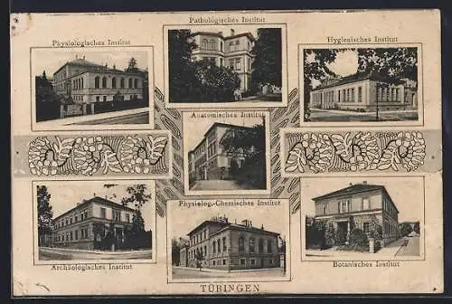 AK Tübingen, Anatomisches Institut, Botanisches Insitut, Pathologisches Institut