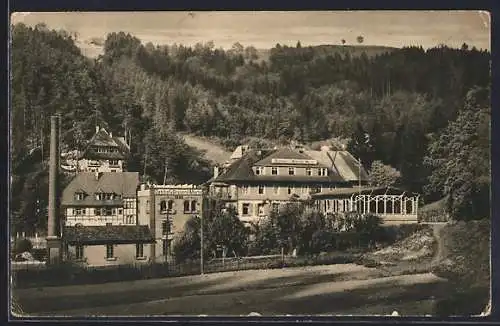 AK Triberg, Gasthof und Brauerei Martin