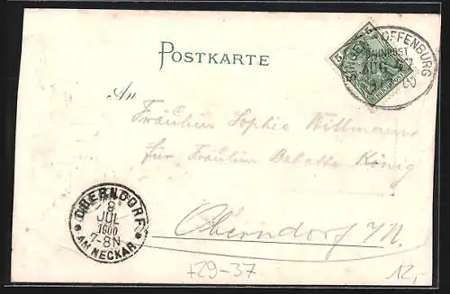 Passepartout-Lithographie Hornberg / Schwarzwald, Panorama mit Jagdhund und Auerhahn