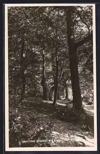 AK Fritton, The Woods