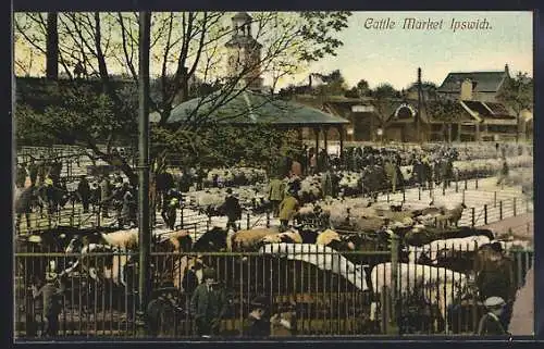 AK Ipswich, Cattle Market