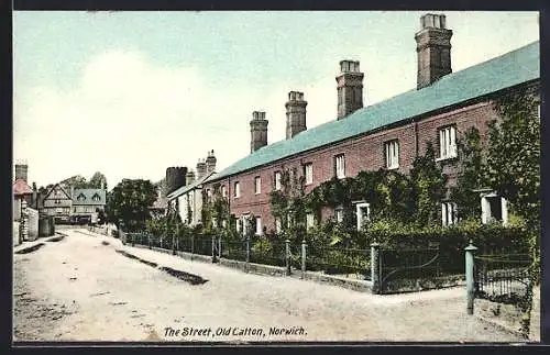 AK Norwich, The Street, Old Catton