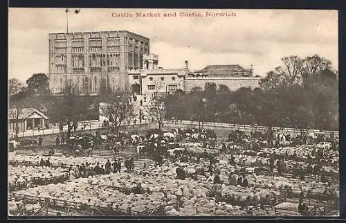AK Norwich, Cattle Market and Castle