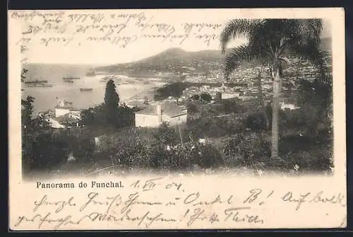AK Funchal, Panorama