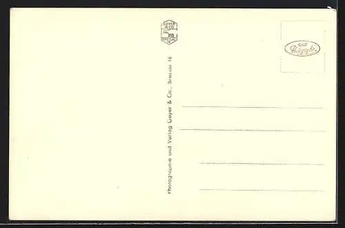 AK Freiwaldau, Hotel Gräfenberg im Priessnitzkurort