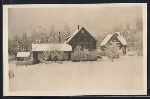 AK Freudenstadt /Schwarzwald, Gasthof und Pension Auerhahn mit Dependancen im Schnee