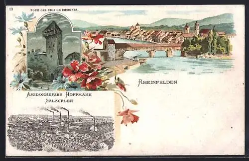 Lithographie Rheinfelden, Hoffmann`s Stärkefabriken Salzuflen, Turm, Teilansicht mit Brücke