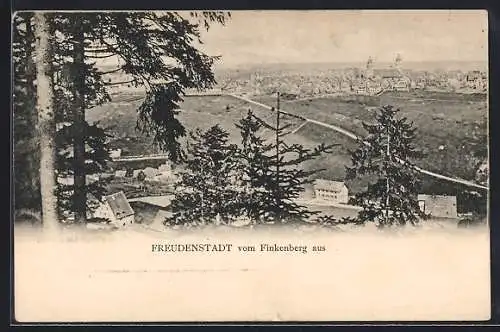 AK Freudenstadt, Blick vom Finkenberg aus