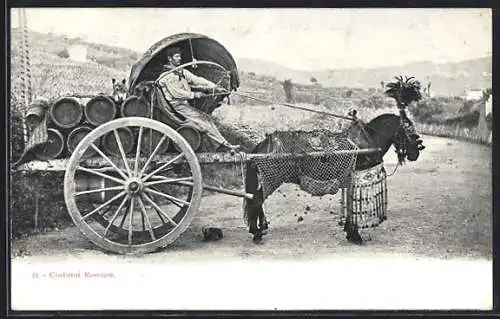 AK Costumi Romani, Italienischer Pferdewagen