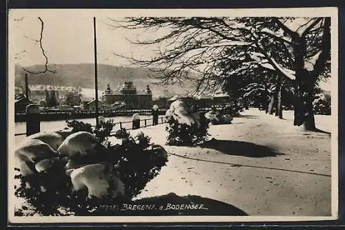 AK Bregenz a. Bodensee, Partie am Seehafen im Winter