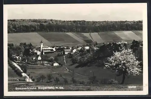 AK Siegenfeld /N.-Oe., Blick über den Ort mit Kirche und Feldern