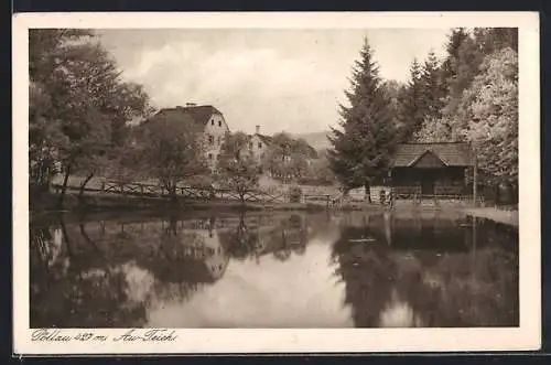 AK Pöllau, Au-Teich mit Hütte