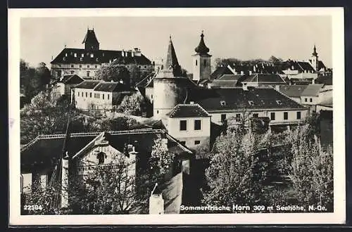 AK Horn, Ortsansicht aus der Vogelschau
