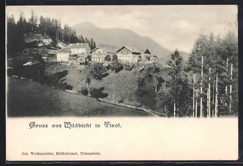 AK Wildbichl in Tirol, Ortsansicht am Waldrand