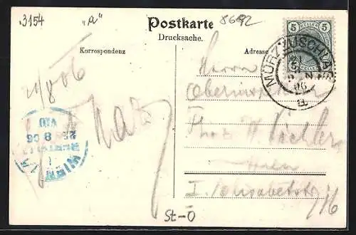 AK Mürzsteg, Ortsansicht mit dem Kaiserl. Jagdschloss