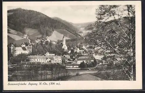 AK Aspang, Ortsansicht aus der Vogelschau