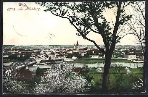 AK Wels, Blick vom Rheinberg auf den Ort