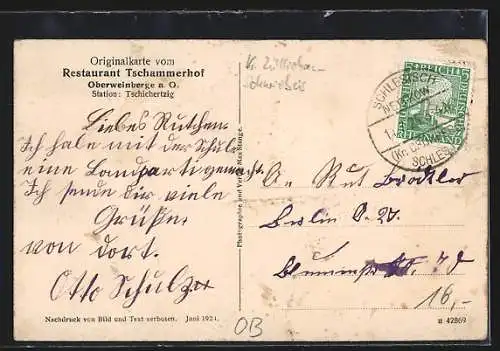 AK Oberweinberge a. d. Oder, Restaurant Tschammerhof, Saal, Oder mit Dampfer