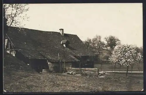 AK Waldulm /Schwarzwald, Bauernhaus im Frühling