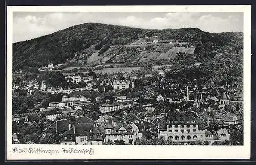 AK Bad Kissingen, Blick über die Dächer