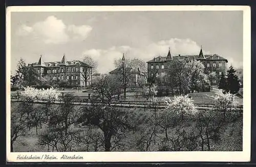 AK Heidesheim /Rhein, Altersheim im Frühling