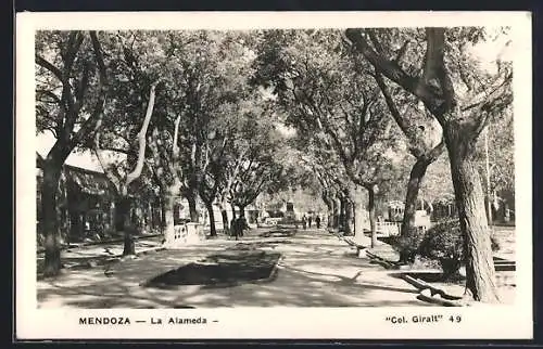 AK Mendoza, La Alameda
