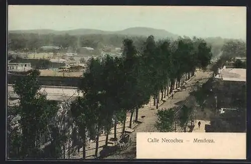 AK Mendoza, Calle Necochea