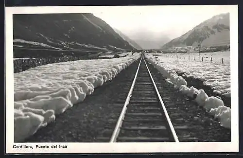 AK Cordillera, Puente del Inca, Bahnschienen