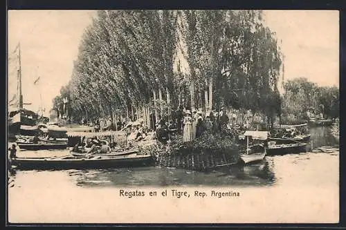 AK Tigre, Regatas en el Tigre