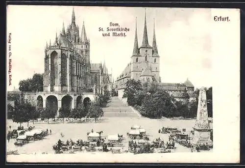 AK Erfurt, Dom, St. Severikirche, Markt