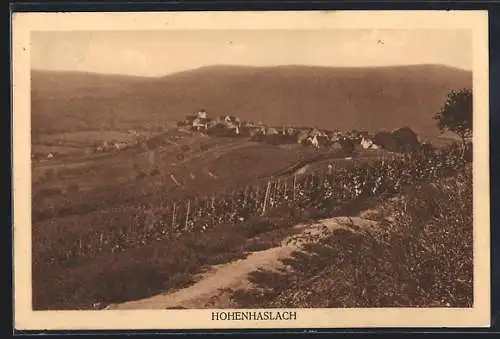 AK Hohenhaslach, Fernsicht der Ortschaft