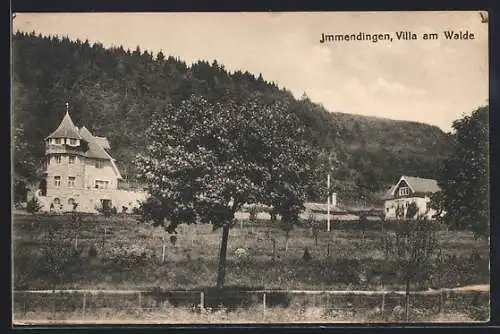 AK Immendingen, Villa am Walde