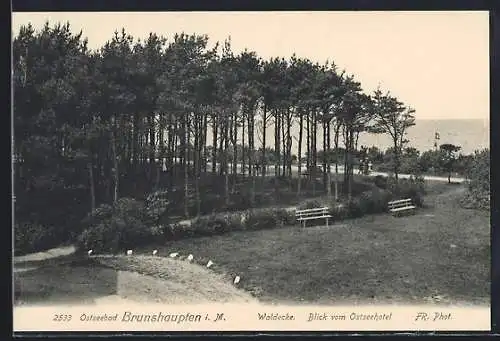 AK Ostseebad Brunshaupten, Wald & See