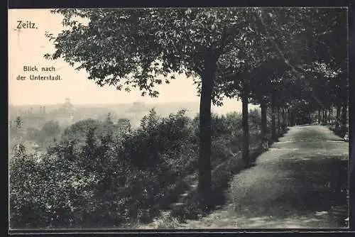 AK Zeitz, Blick nach der Unterstadt von einer Allee