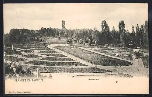 AK Sangerhausen, Blick auf das Rosarium