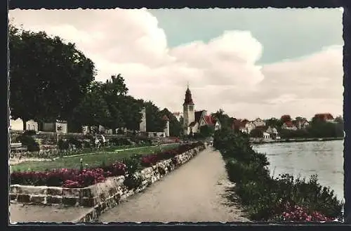 AK Kelsterbach /Main, Flusspartie mit Parkanlage und Blumenbeeten