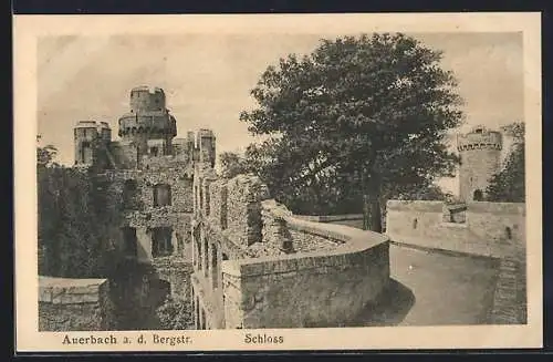 AK Auerbach a. d. Bergstr., Schlossansicht mit Befestigungsanlagen