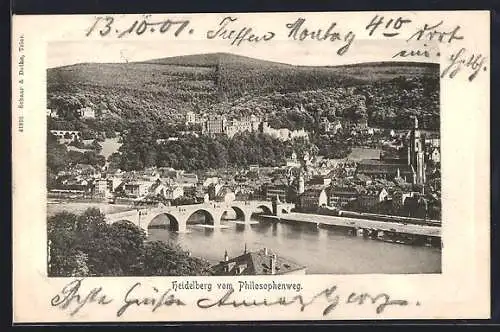 AK Heidelberg, Ortsansicht vom Philosophenweg mit Brücke und Flusspartie