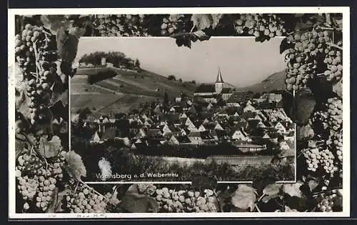AK Weinsberg a. d. Weibertreu, Ortsansicht mit Panorama, Passepartout mit Weintrauben