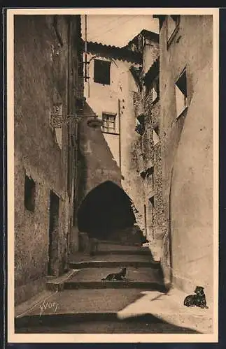 AK Roquebrune, Rue du Château avec chats se reposant au soleil